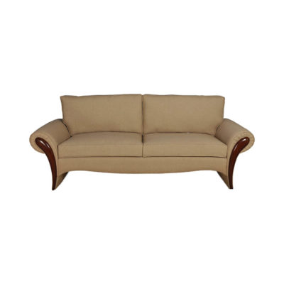 Soft Modern Living room Sofa Brown