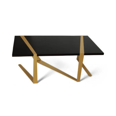 Anais Wooden Coffee Table with Gold Stainless Steel Legs Top
