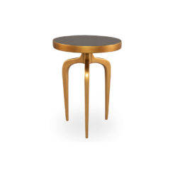 Sasha Wooden Gold with Glass Top Side Table