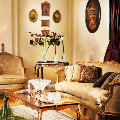 French style design living room 3
