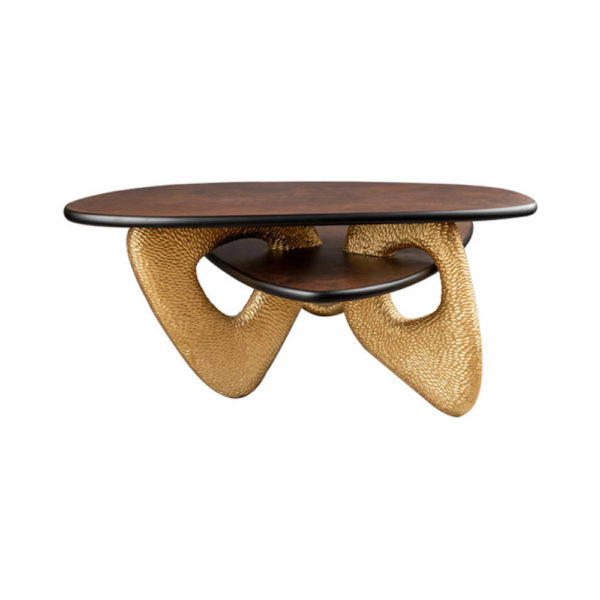 Aziza Gold and Dark Brown Modern Wooden Coffee Table Beside View