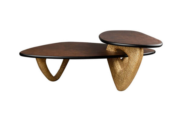 Aziza Gold and Dark Brown Modern Wooden Coffee Table Front View