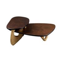 Aziza Gold and Dark Brown Modern Wooden Coffee Table Top View