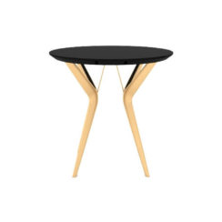 Wellington Black Side Table with Golden Legs View
