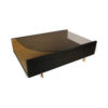 Gail Smoked Glass Top Coffee Table with Storage 1