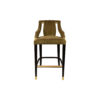 Shelley Velvet Bar Stool with Stainless Steel Inlay 1