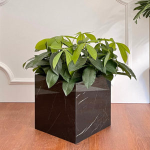 Black glossy plant pot