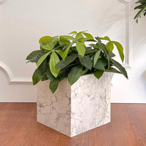 White & grey plant pot