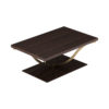 Orkney Rectangle Wooden and Metal Coffee Table with Veneer Inlay 3