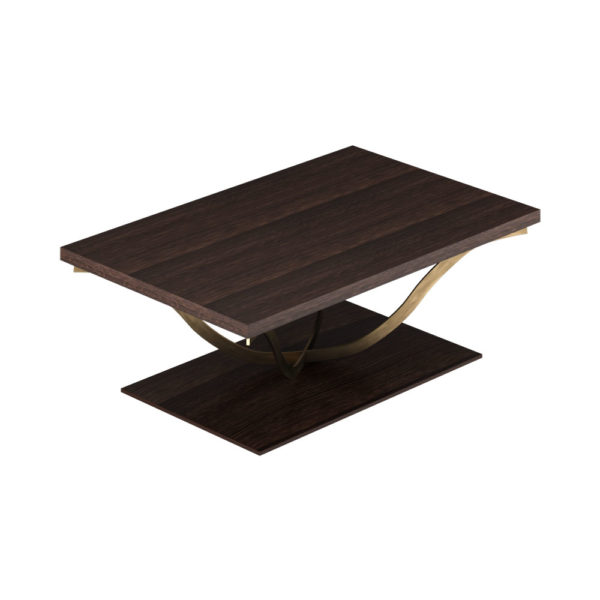 Orkney Rectangle Wooden and Metal Coffee Table with Veneer Inlay
