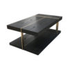 Wimbledon Wooden with Brass Coffee Table UK 2