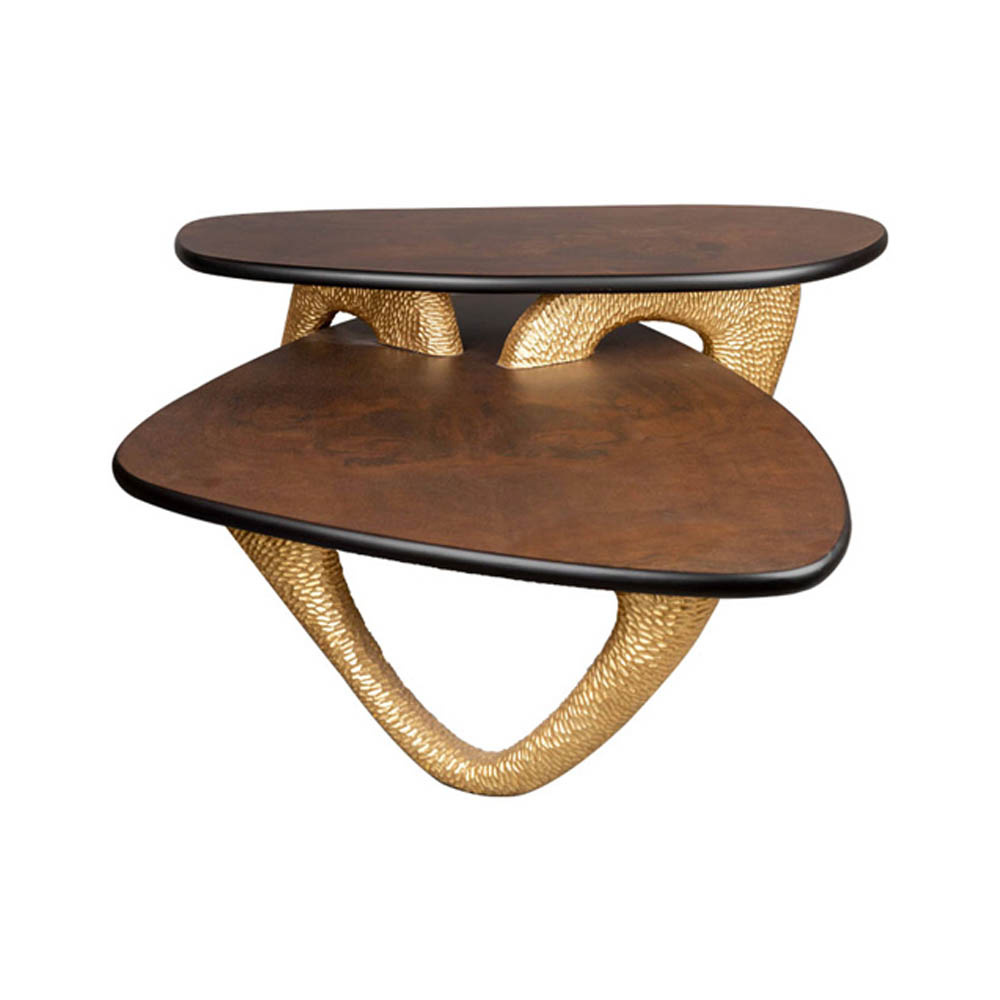 Aziza Gold and Dark Brown Modern Wooden Coffee Table Wood Top