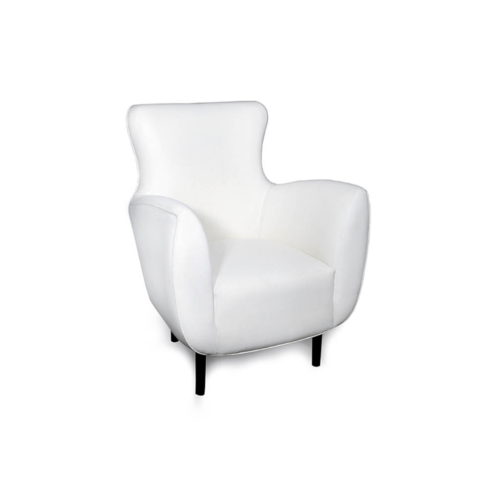 Mathis Upholstered Occasional Arm Chair