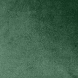 Selvaa Velvet - EL-Vt-NS-Selvaa-0013