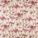 Ashley Wilde Hawthorn